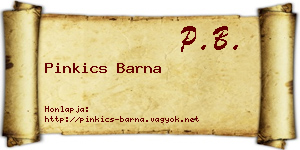 Pinkics Barna névjegykártya